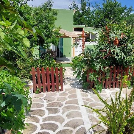 Afionas Das Gruene Haus 外观 照片