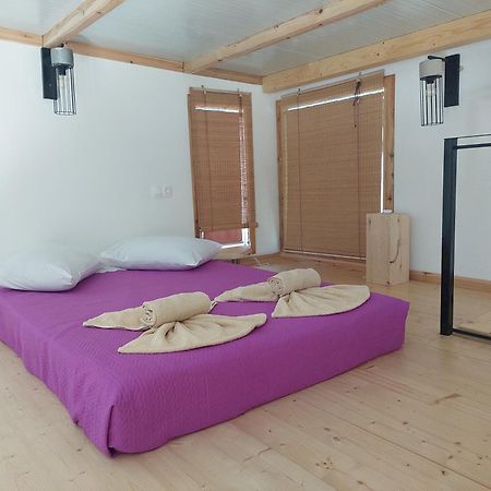 Afionas Das Gruene Haus 外观 照片