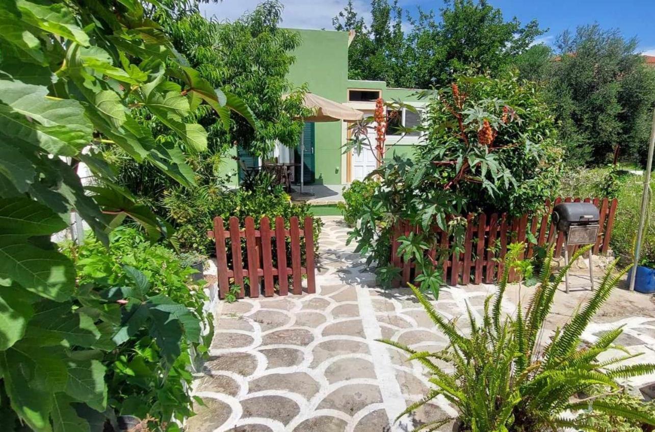 Afionas Das Gruene Haus 外观 照片