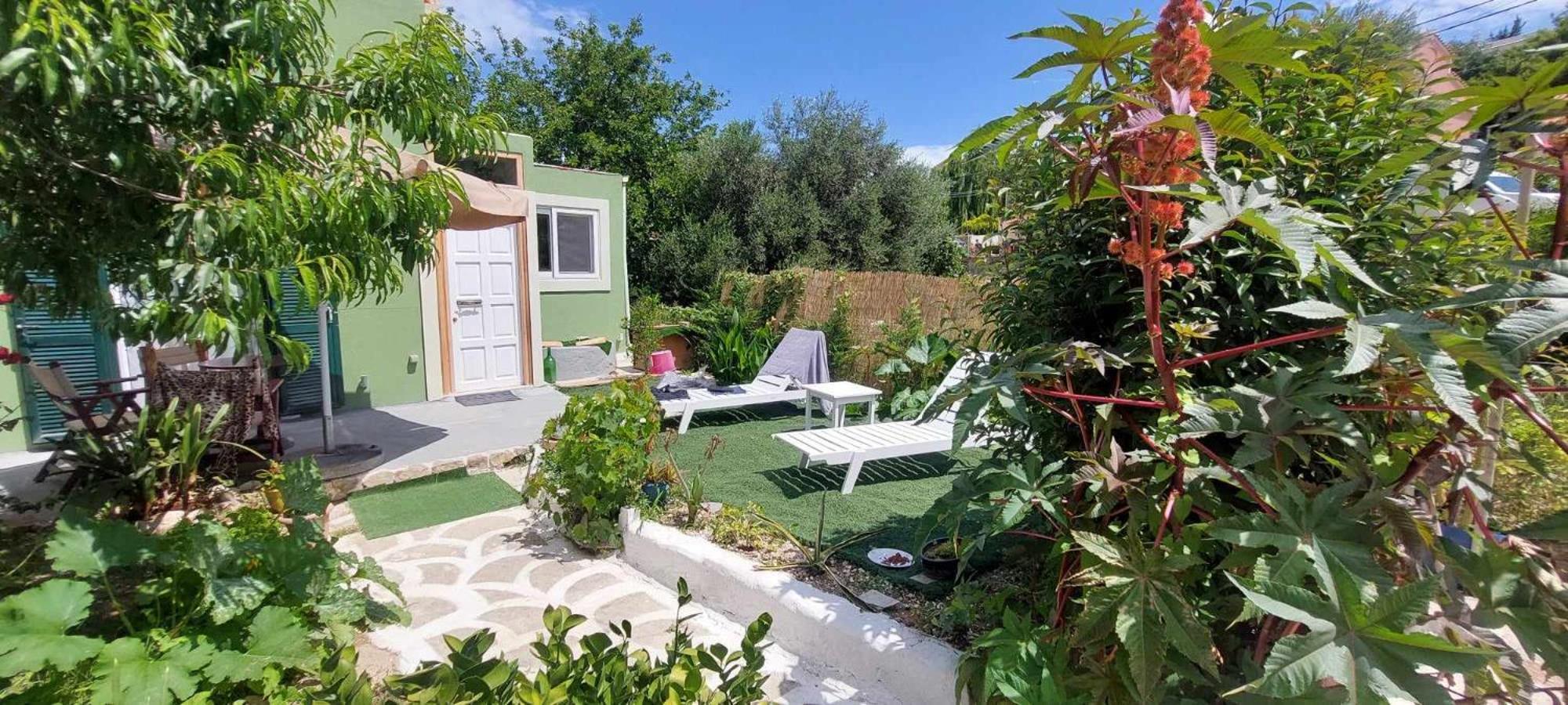 Afionas Das Gruene Haus 外观 照片